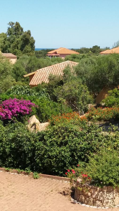 Settimo Cielo Bed and Breakfast San Teodoro  Eksteriør billede
